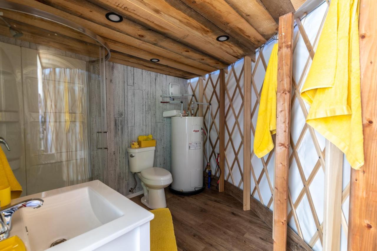 Yourtes Glamping Du Poisson Blanc Notre-Dame-du-Laus المظهر الخارجي الصورة